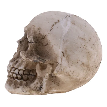 1 adet Cadılar Bayramı kafatası insan kafası iskelet kafatası modeli reçine oyuncak tatil hediye