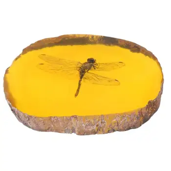 Ev El Sanatları Dekor Koleksiyonu Çin Güzel Amber Yusufçuk Fosil Böcekler Manuel Parlatma Zarif Hediye